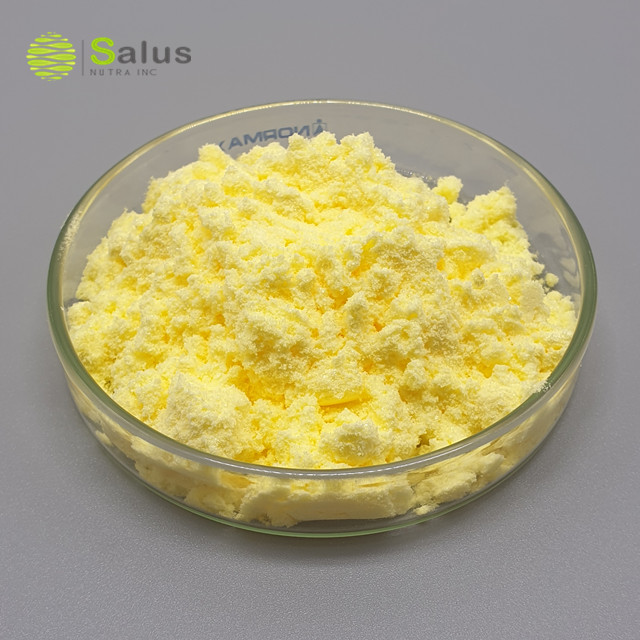 Alpha Lipoic Acid