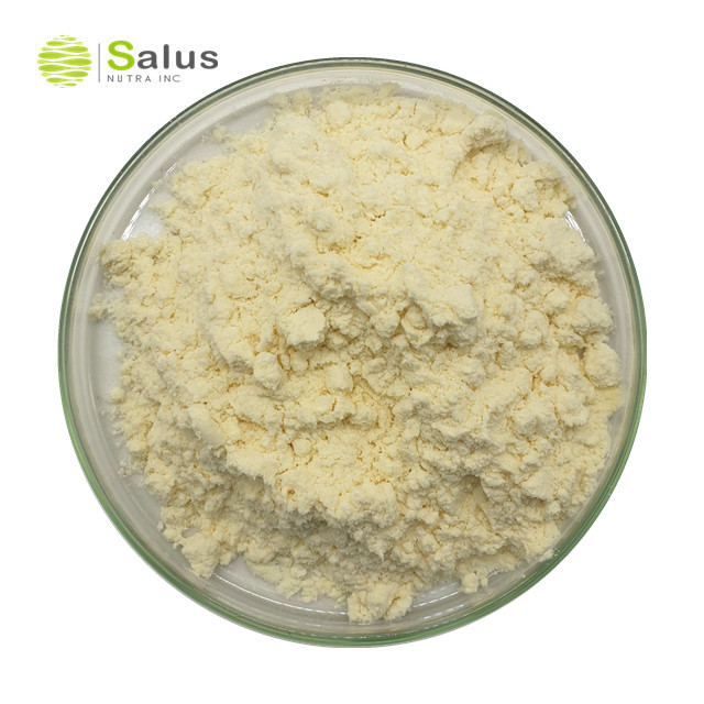 Medium Chain Triglycerides